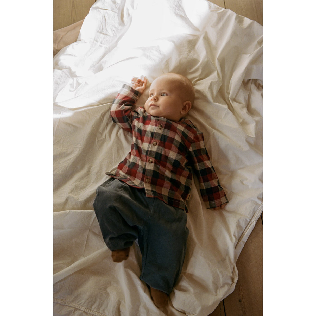 Wheat Red Blue Check Skjorta Shelby