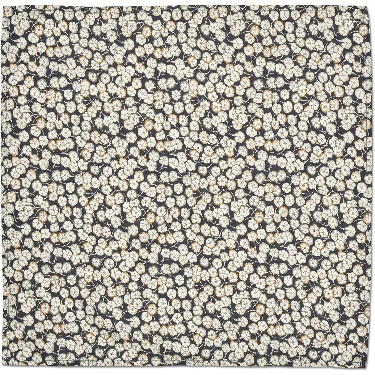 Lalaby SnowFlower Eddie Halsduk