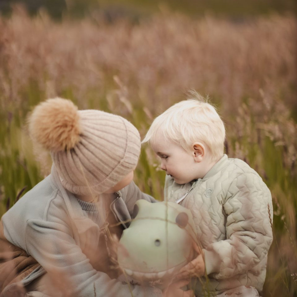 Find that Hippo Hoppe-Dyr - Dexter Dino