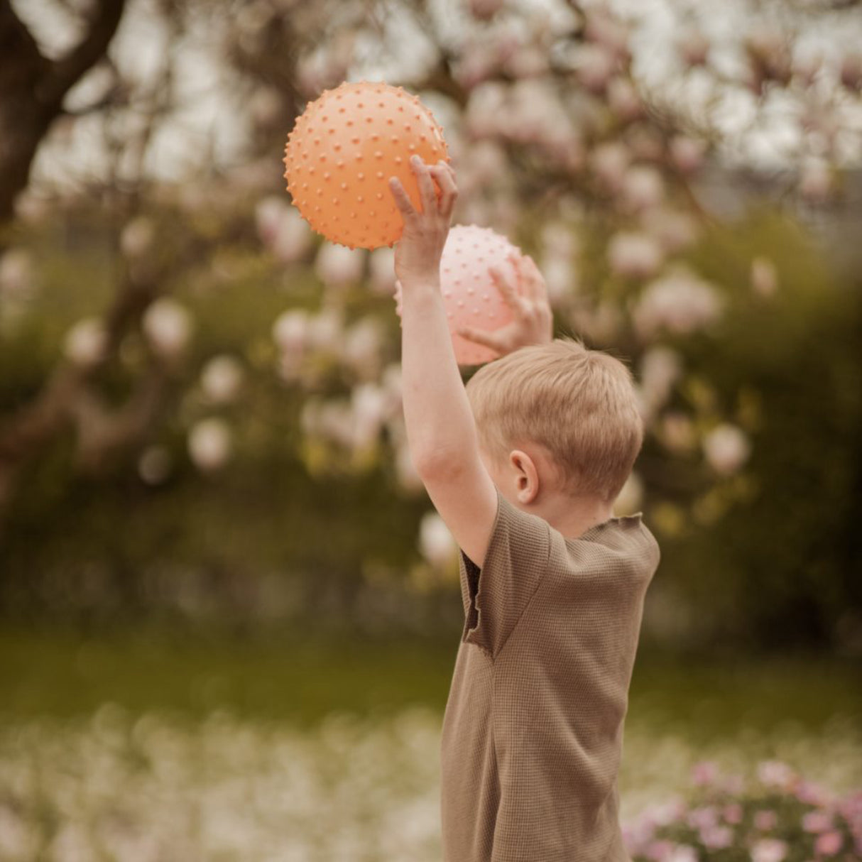 Find that Hippo Sanse-Bolde - Sett Med 2 Stk., Farver Buff & Rosy Brown