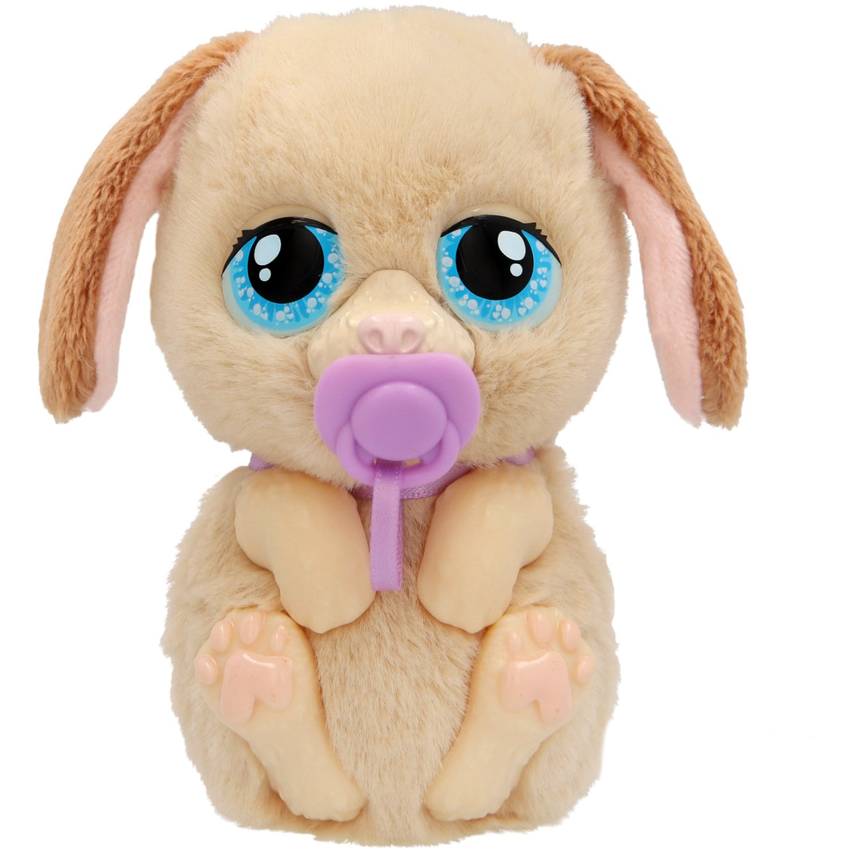 Baby Paws Just Born Hvalp