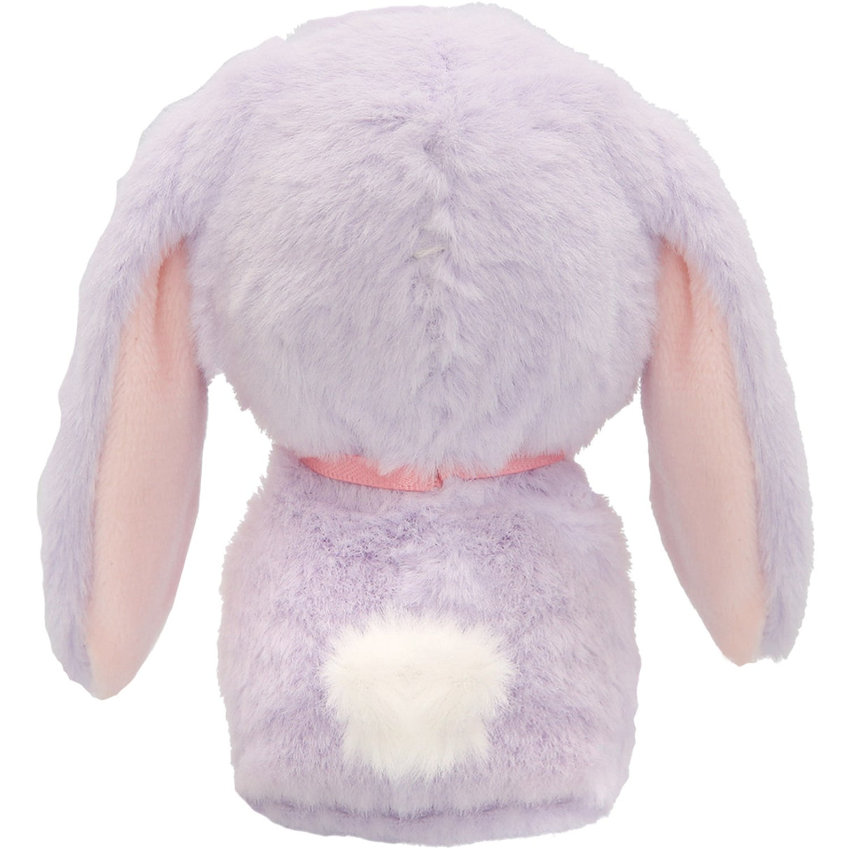 Baby Paws Just Born Kanin