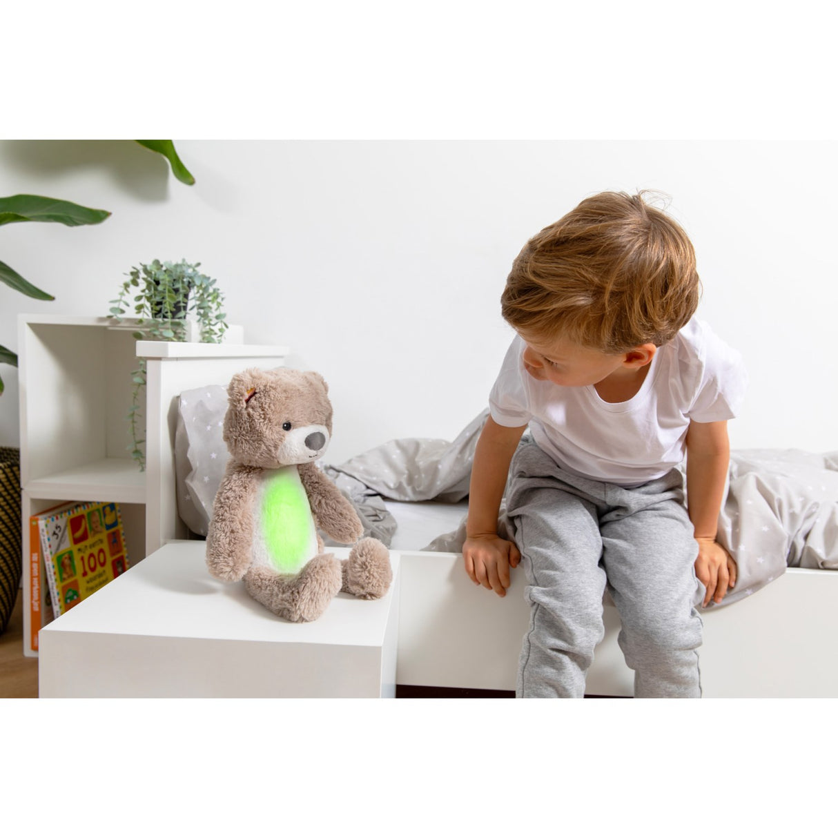 Zazu Brown Brody The Björn Sömntränare