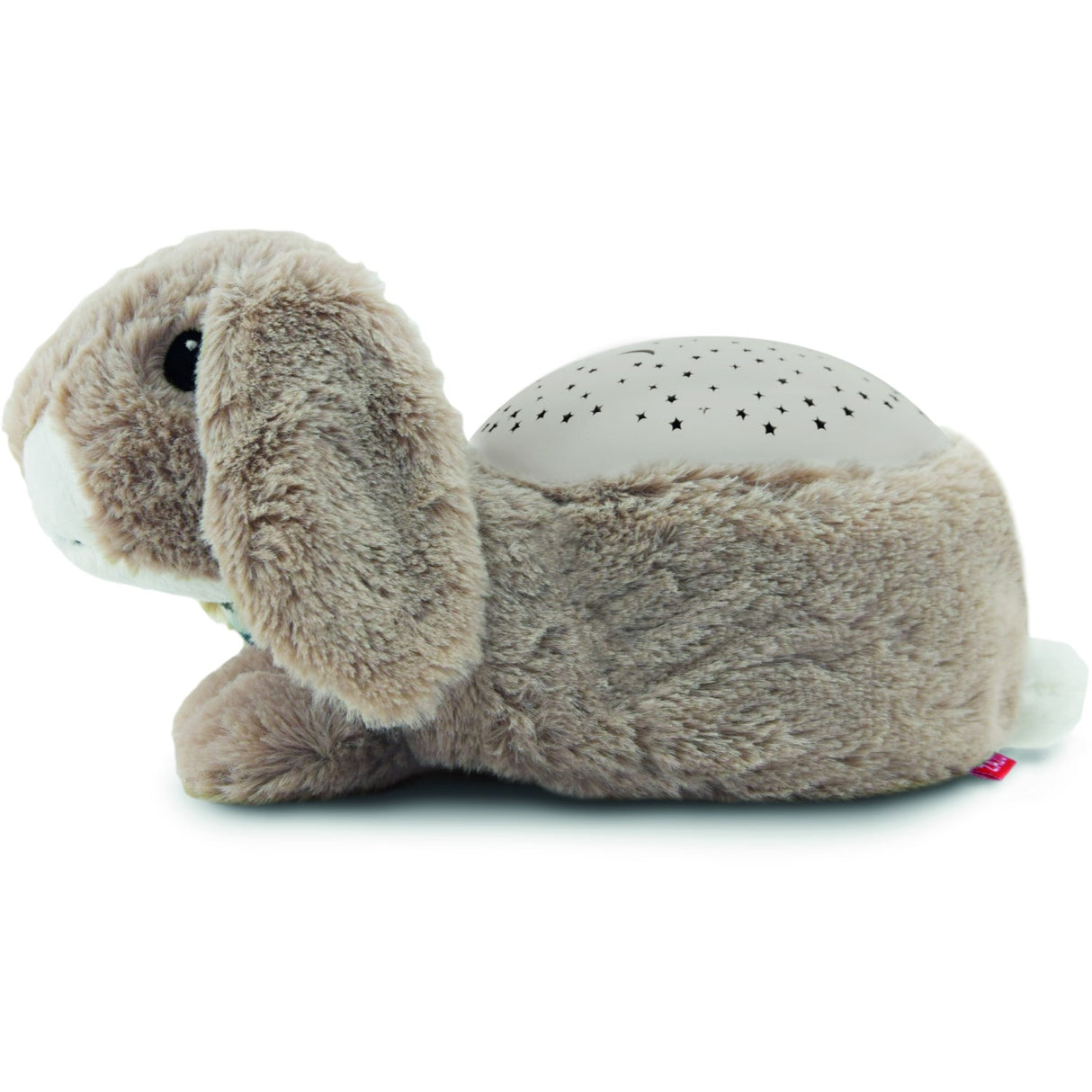 Zazu Brown Ruby The Rabbit Projector