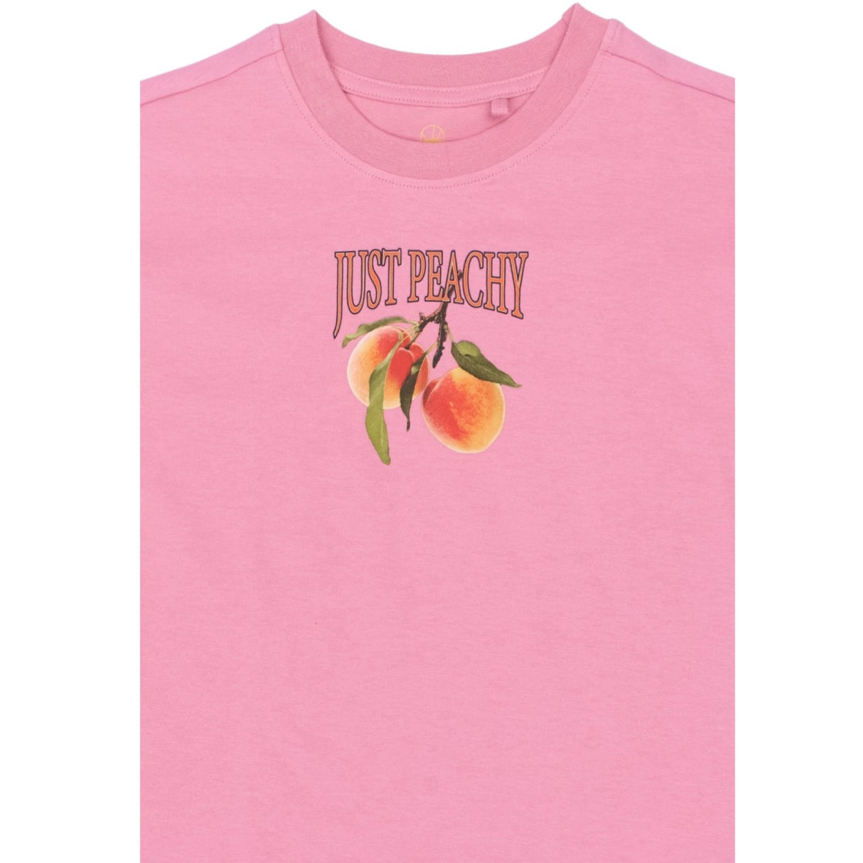 The New Cashmere Rose Tntenna Os S_S Tee