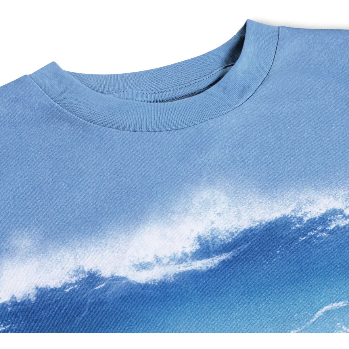 Molo Surf Dog Riley T-Shirt