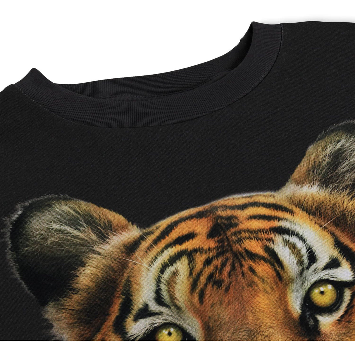 Molo Tiger Face Rube T-Shirt