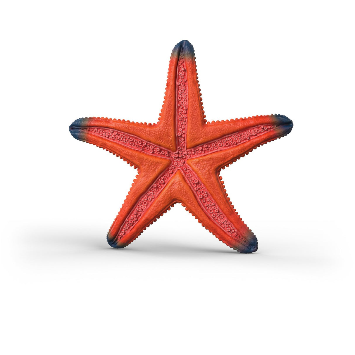 Schleich Søstjerne Med Farveskift