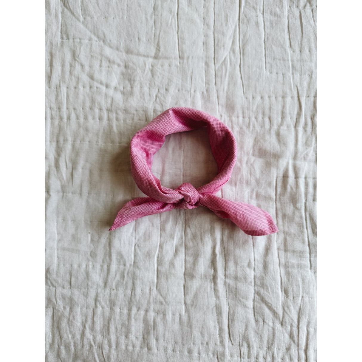 Lalaby Raspberry Eddie Halsduk