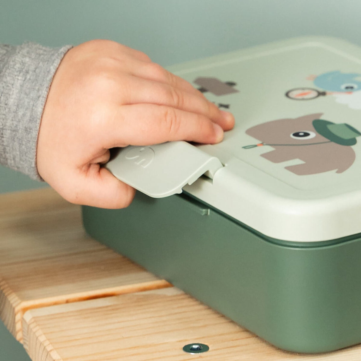 DonebyDeer Green Tiny Trails Lunch Låda Med Divider