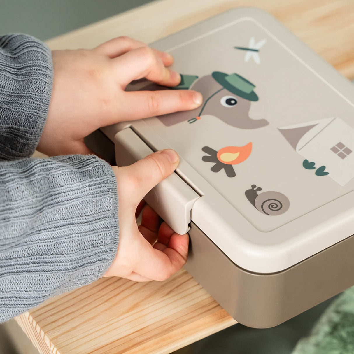 DonebyDeer Sand Tiny Trails Lunch Låda Med Divider
