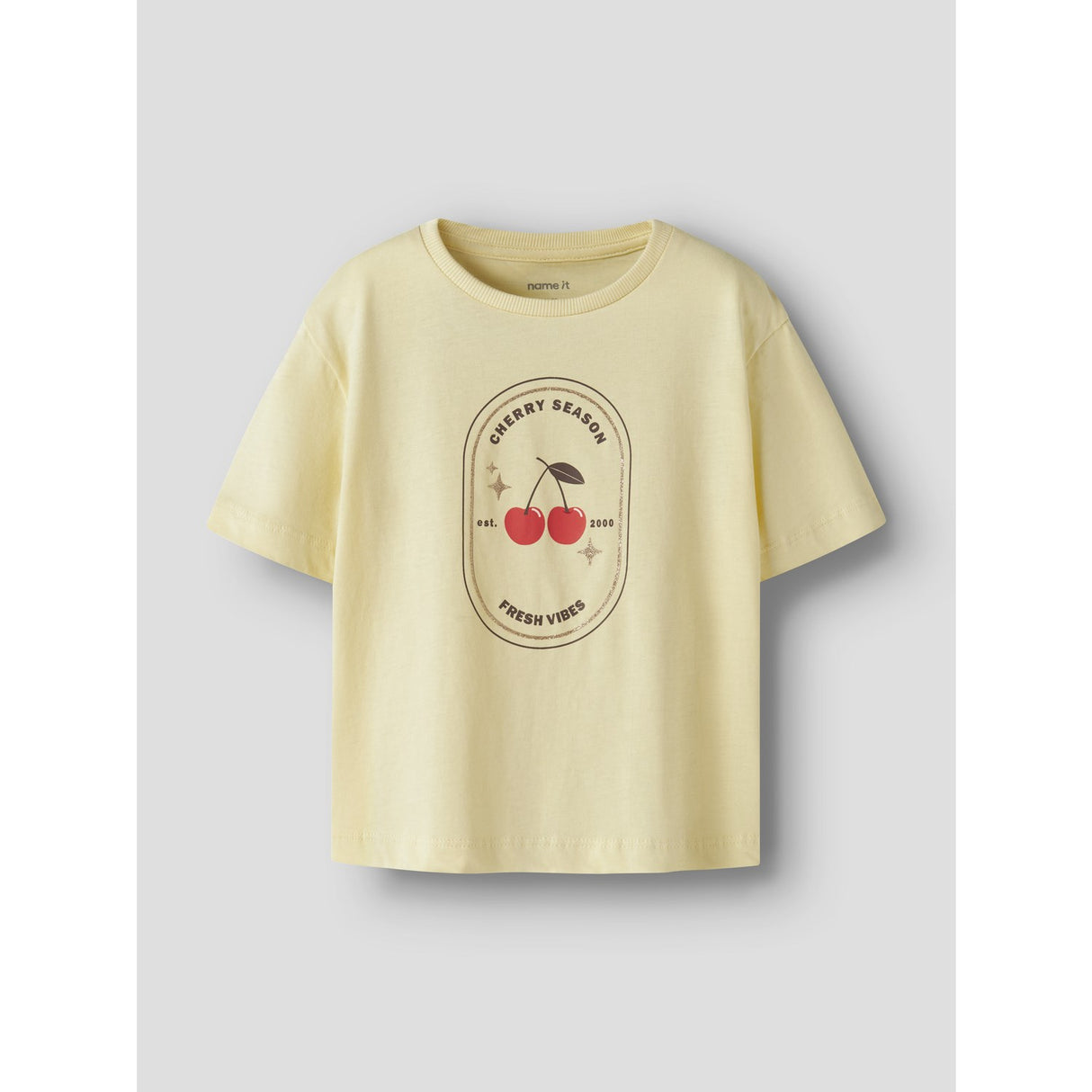 Name It Anise Flower Nmfkatrina Ss Nreg Topp Pb