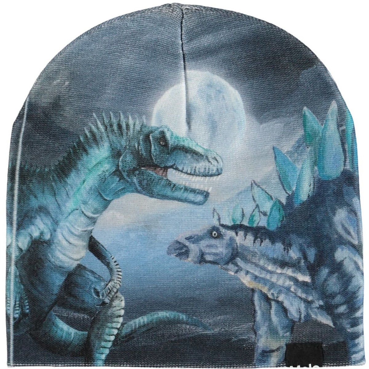 Molo Arty Dinos Kaya Outerwear Sett