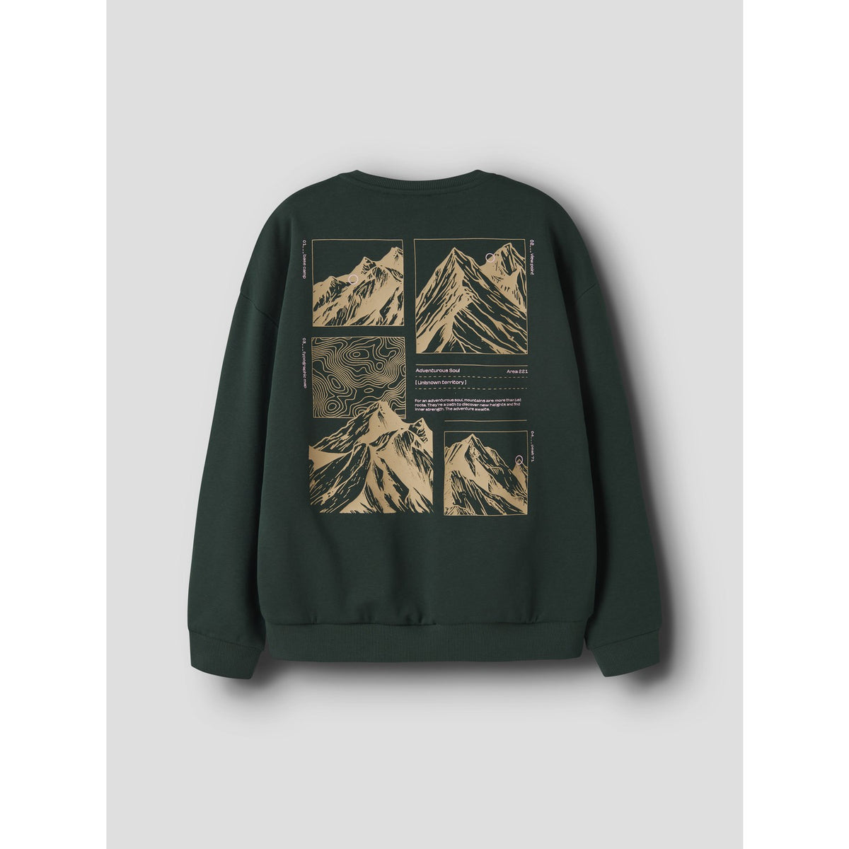 Name It Pine Grove Nkmofranz Ls Rlx Swe Bru Bf