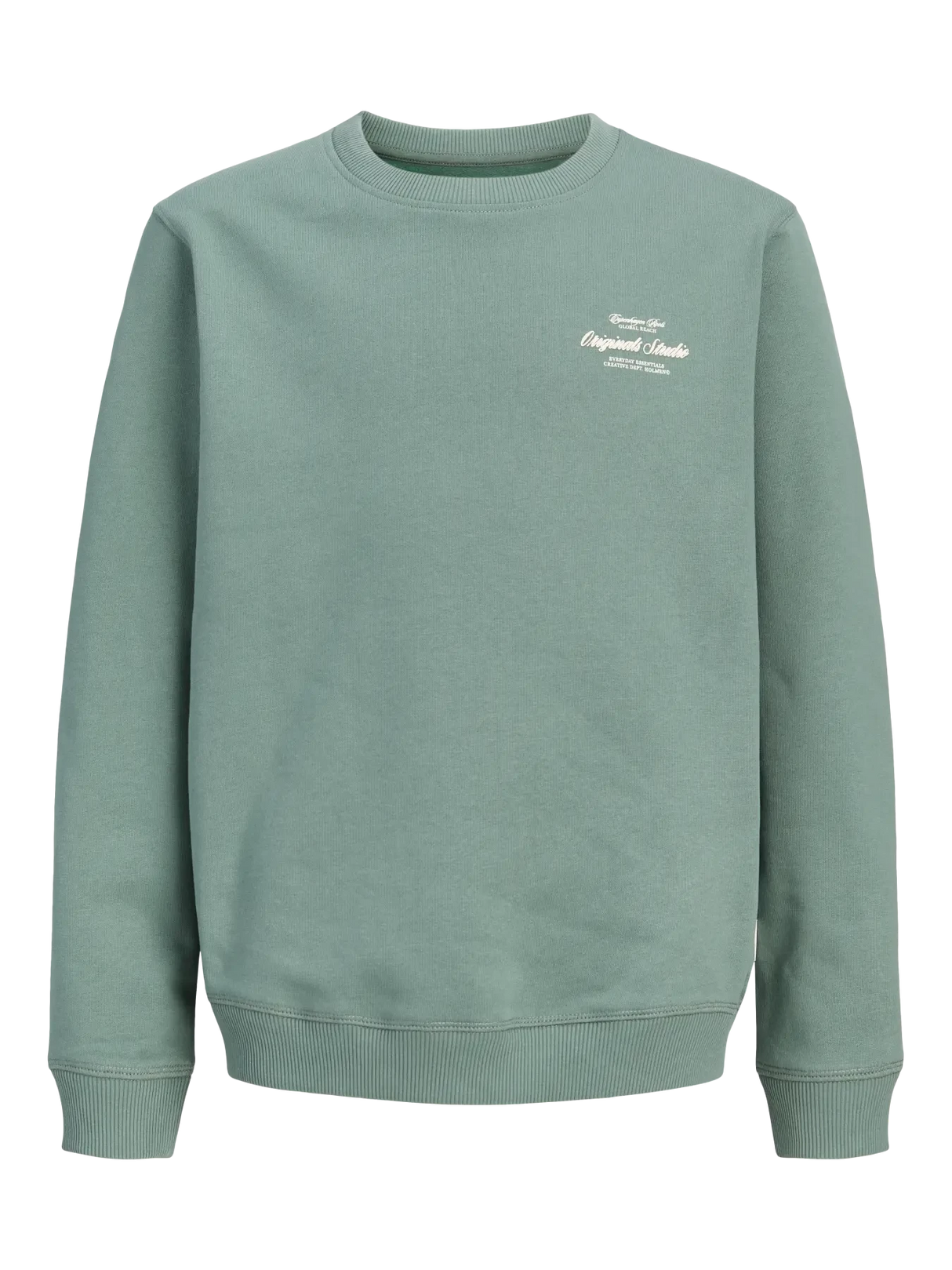 Jack & Jones Junior Laurel Wreath Jornorrebro Typo Back Sweat Cn Jnr