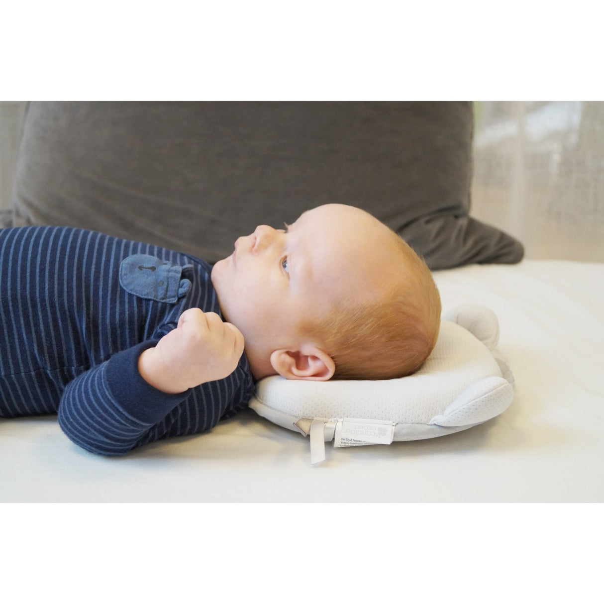 Candide Grey Panda Baby Kudde Air