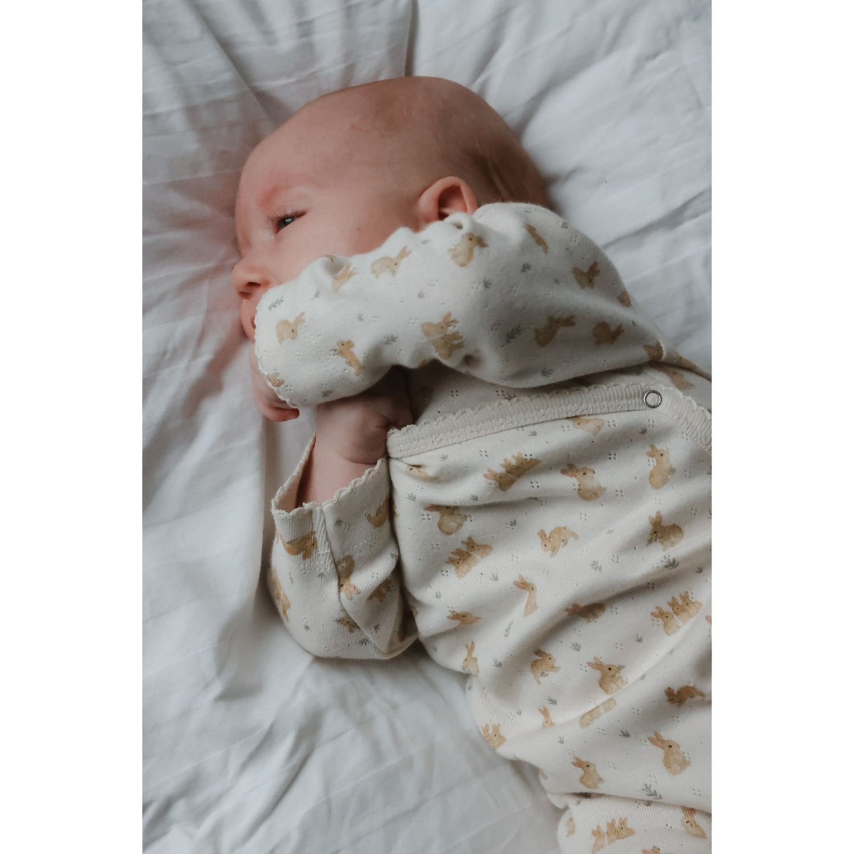 Petit Piao Eggnog Rabbit Aop Ppdio L_S Byxdress Fold Feet Pointelle Nb