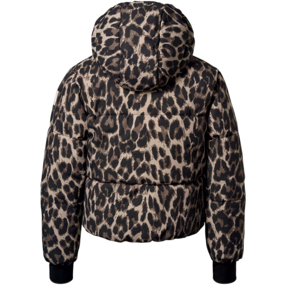 Molo Brushed Leo Hansine Pro Jacka