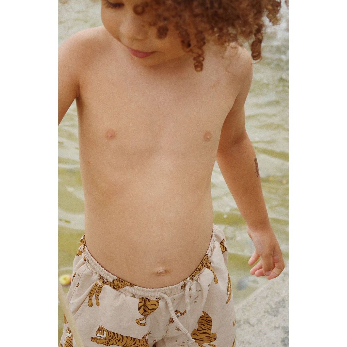 Konges Sløjd Asnou Badeshorts Tiger