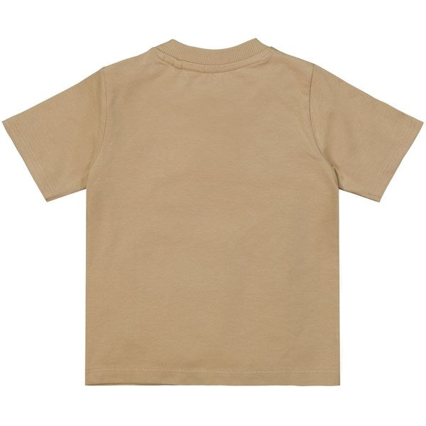 THE NEW Siblings Cornstalk Kiran Body