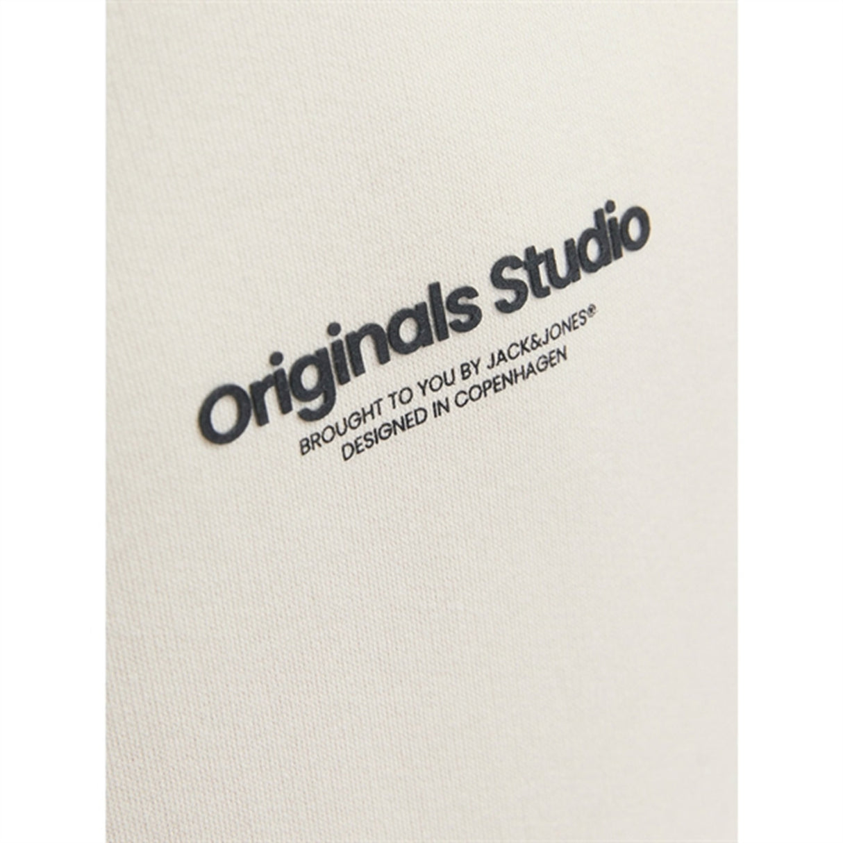 Jack & Jones Junior Moonbeam Vesterbro Sweat Hoodies Noos