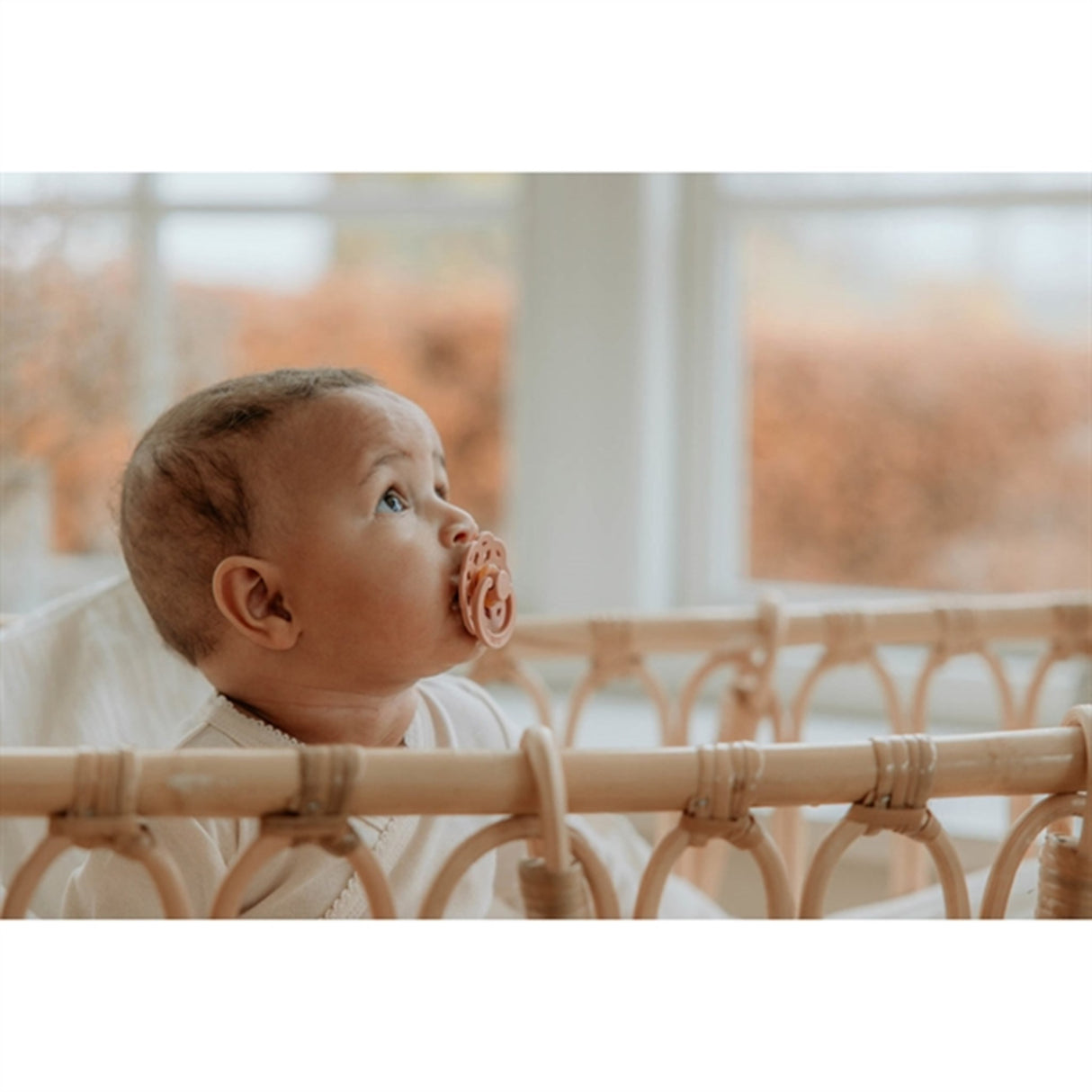 Bibs Boheme Latex Nappar 2-pack Woodchuck/Blush