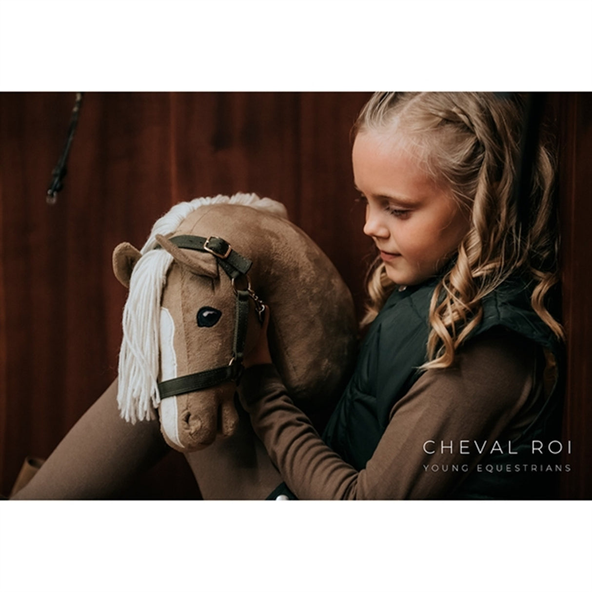 Cheval Roi Galen Häst Diva 4