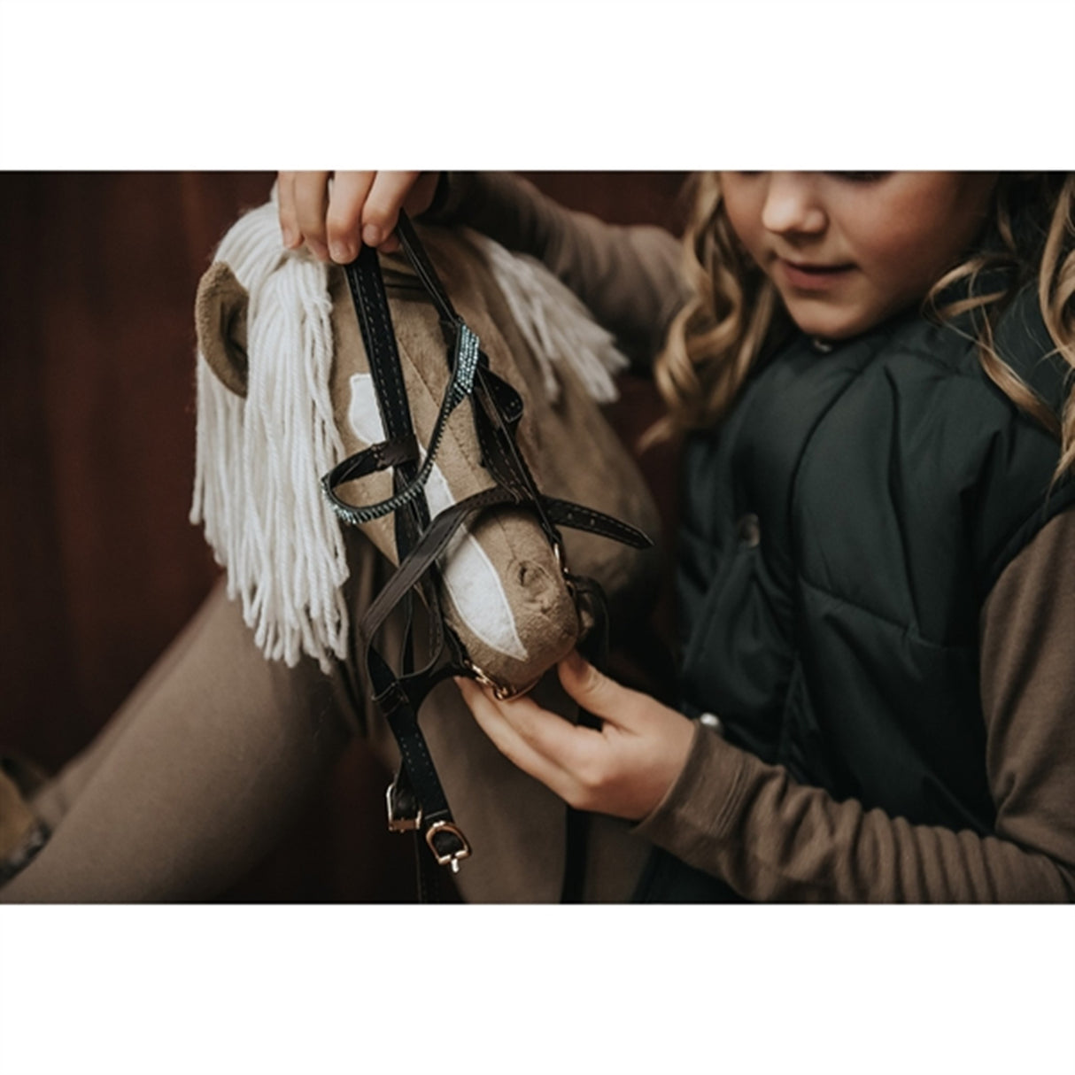 Cheval Roi Galen Häst Diva 5