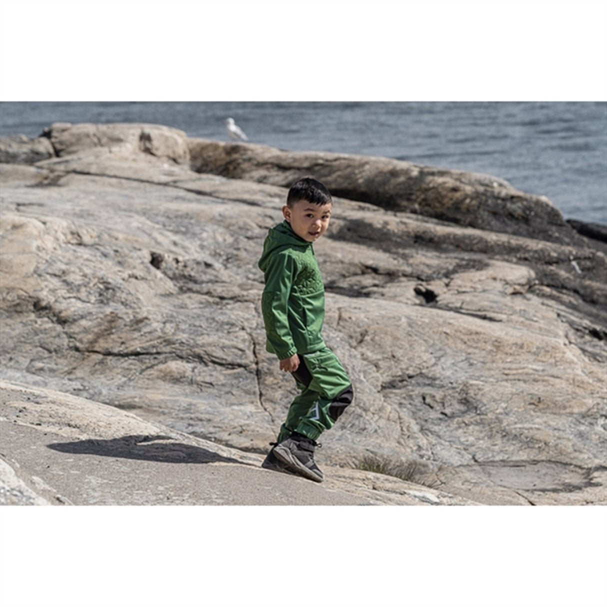 Didriksons Briska Palm Green Jacka