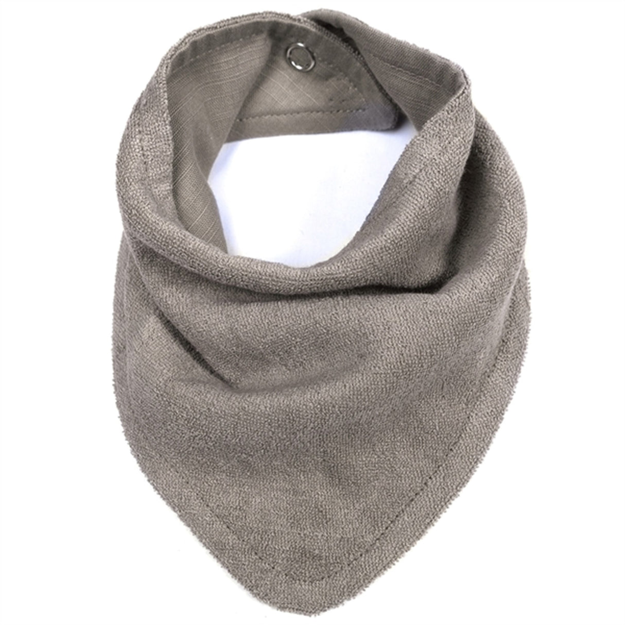 Pine Cone Lui Haklapp Mushroom