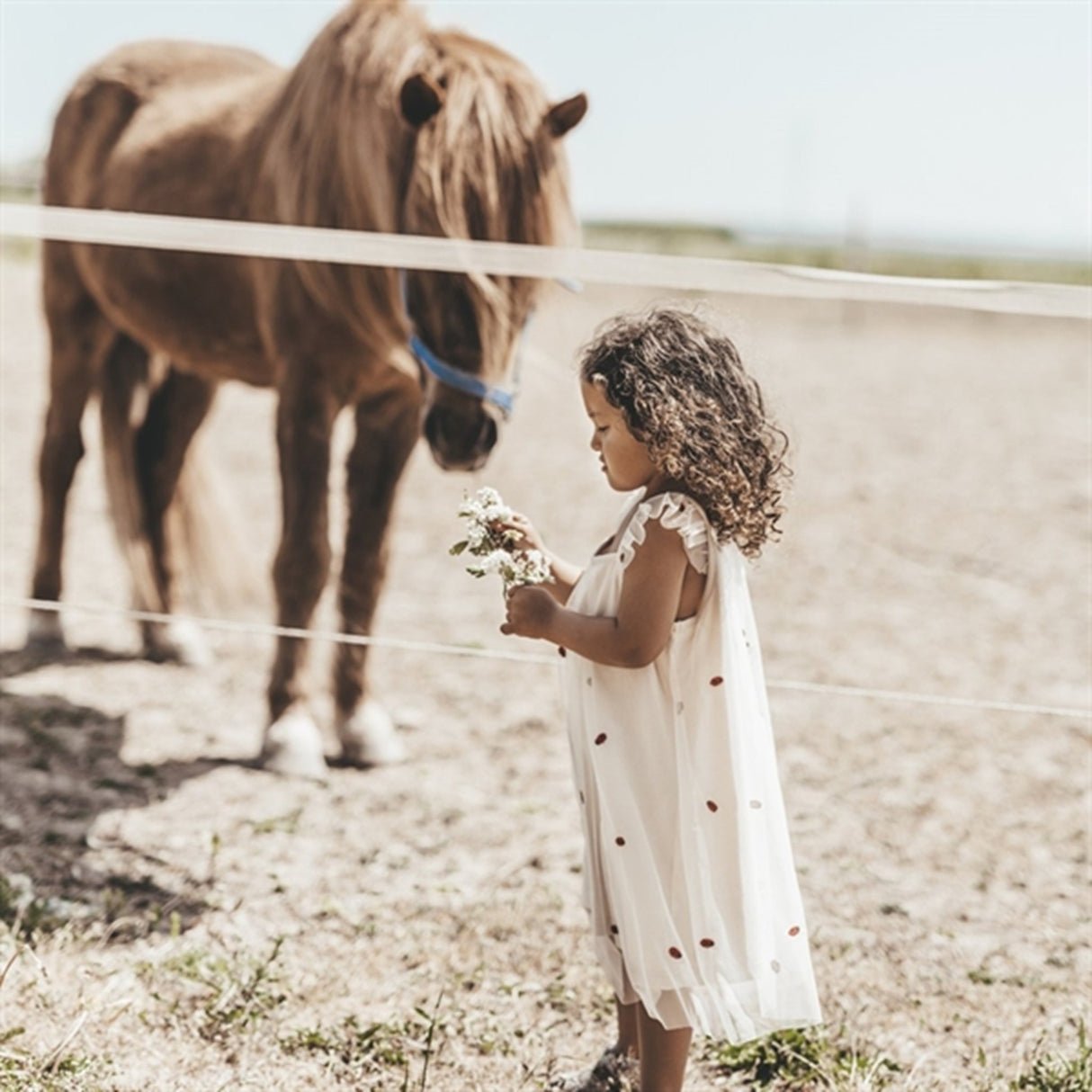 That's Mine Shell Halia Klänning