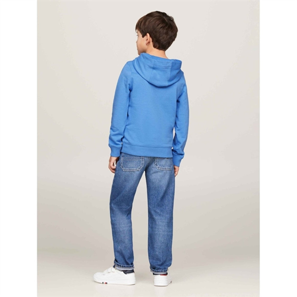 Tommy Hilfiger Essential Hoodies Blue Spell