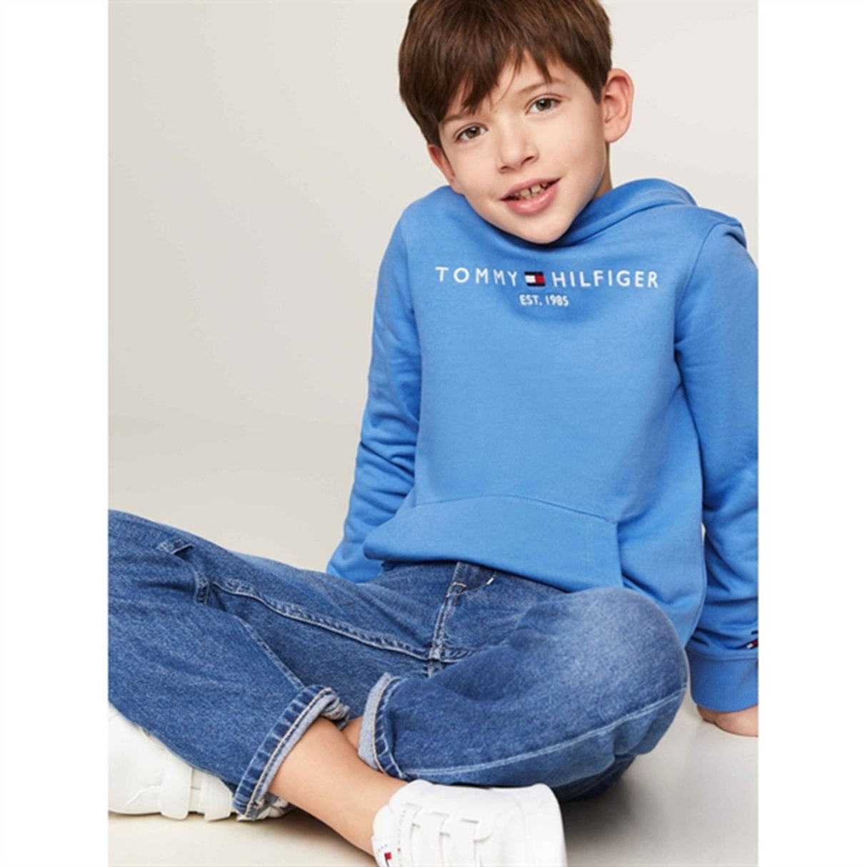 Tommy Hilfiger Essential Hoodies Blue Spell