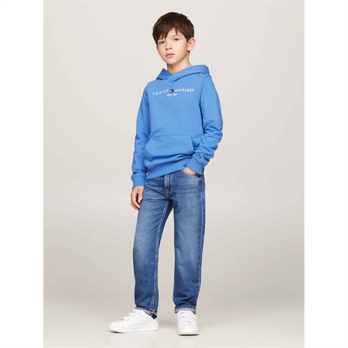 Tommy Hilfiger Essential Hoodies Blue Spell