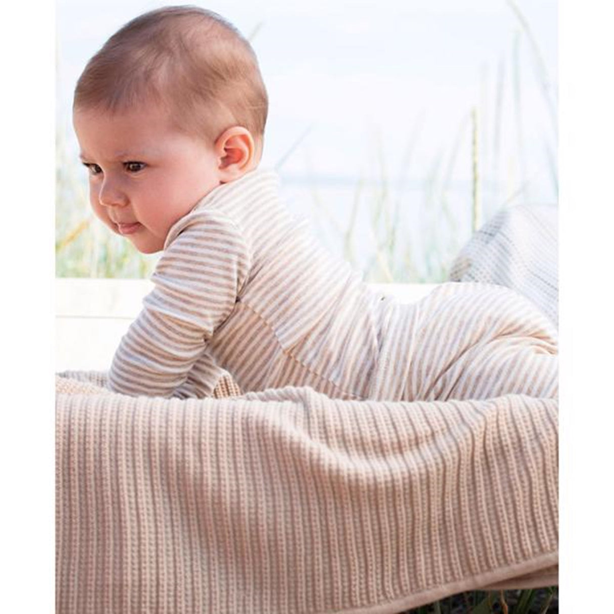 Serendipity Oat/Offwhite Rib Stripe Body