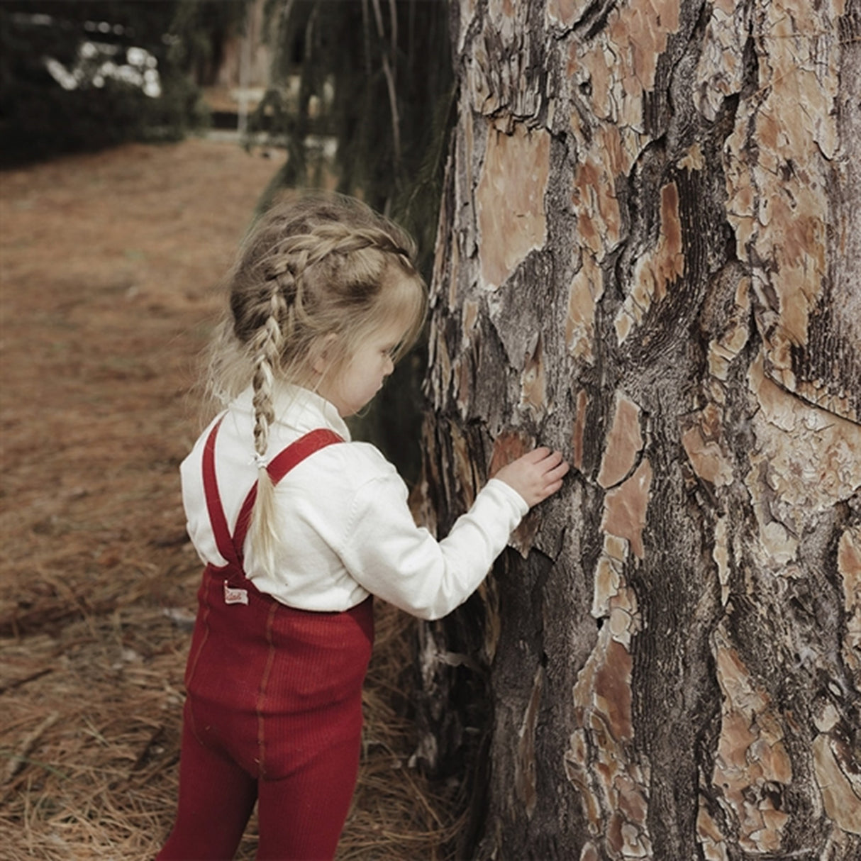 Silly Silas Footed Tights Maple Leaf