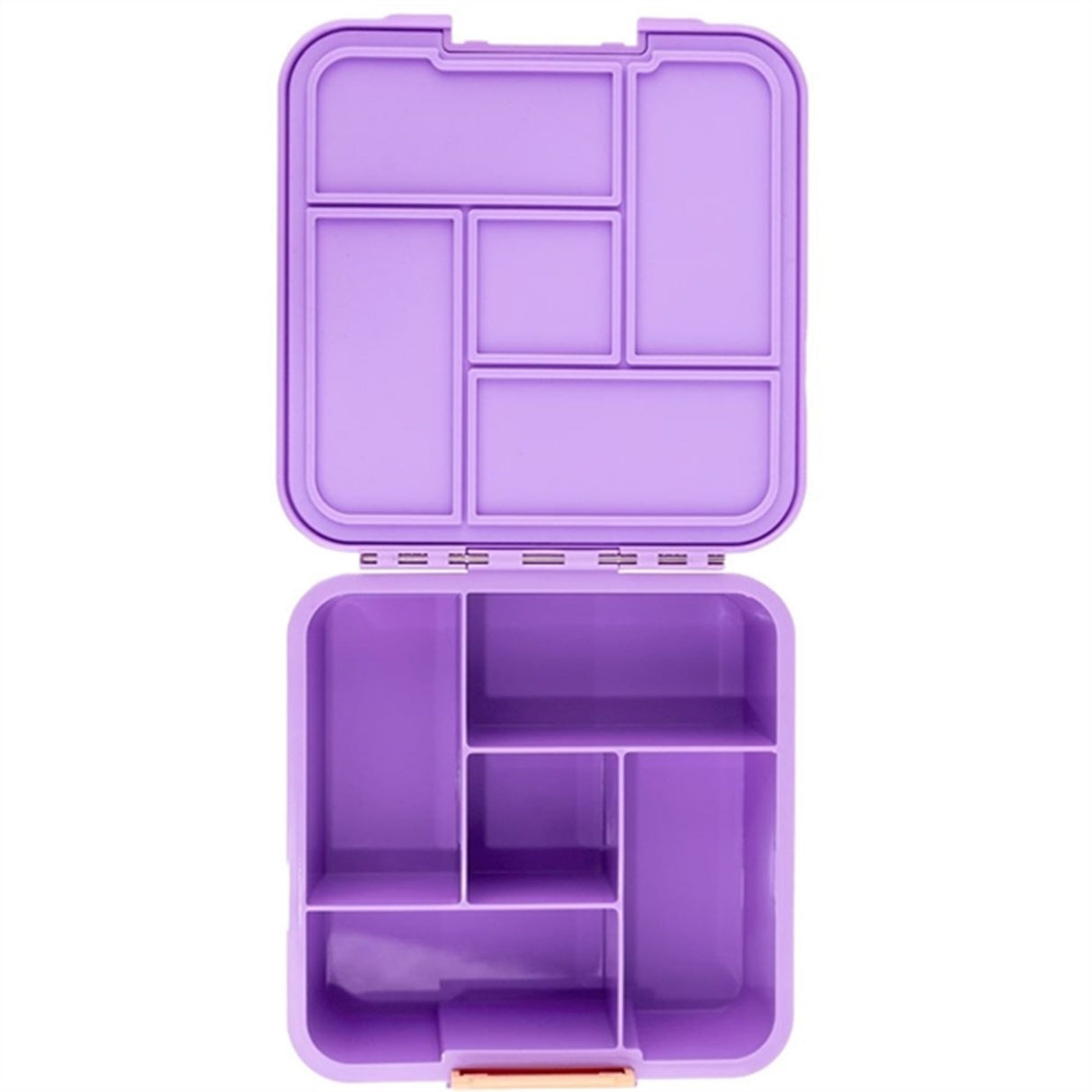 MontiiCo Montii Bento Five - Rainbow Roller