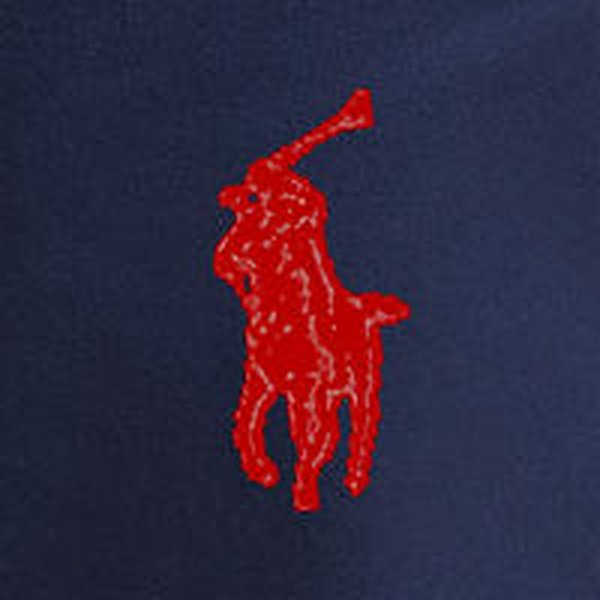 Polo Ralph Lauren Boys Byxor Newport Navy