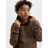Jack & Jones Cocoa Jjestar Jj Sweat Huva Noos Jnr