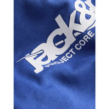 Jack & Jones Beaucoup Blue Jwhunion Print Sweat Huva Jnr