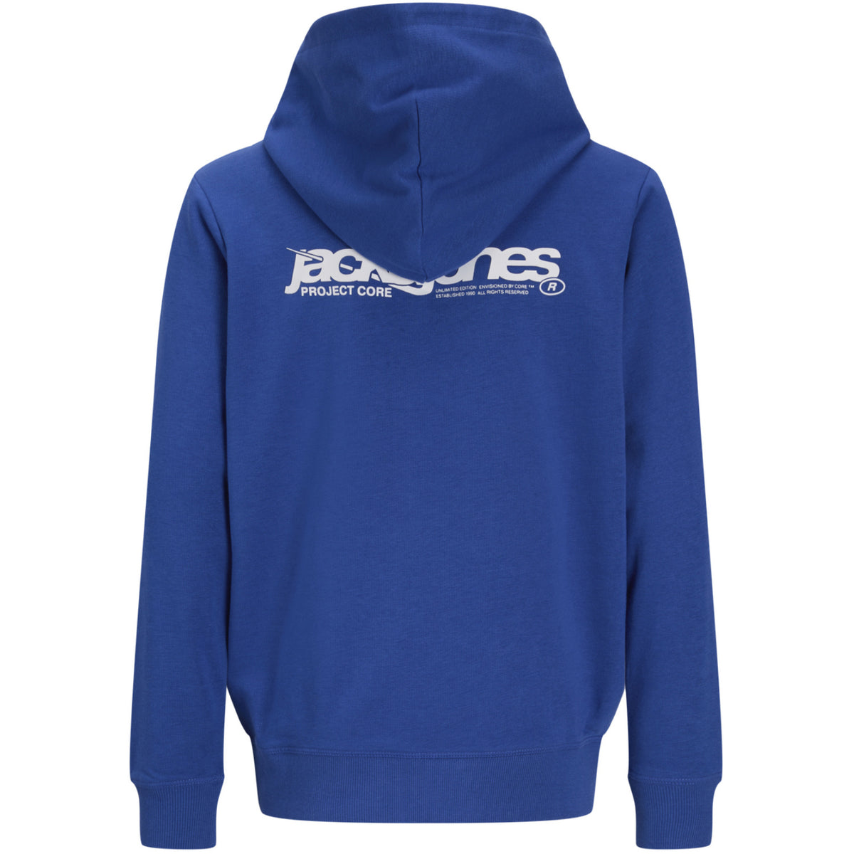 Jack & Jones Beaucoup Blue Jwhunion Print Sweat Huva Jnr