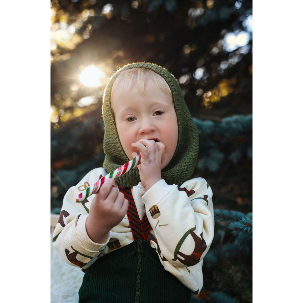Silly Silas Footless Bomull Strumpbyxar Med Braces Dark Forest Green Christmas Patterned