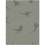 Name It Agave Green Pyjamas Agave Green Dino Rib Noos