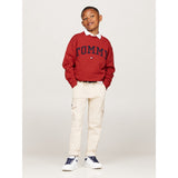 Tommy Hilfiger Dark Magma Varsity Embroidery Sweatshirt 2