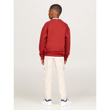 Tommy Hilfiger Dark Magma Varsity Embroidery Sweatshirt 3