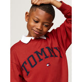 Tommy Hilfiger Dark Magma Varsity Embroidery Sweatshirt 4