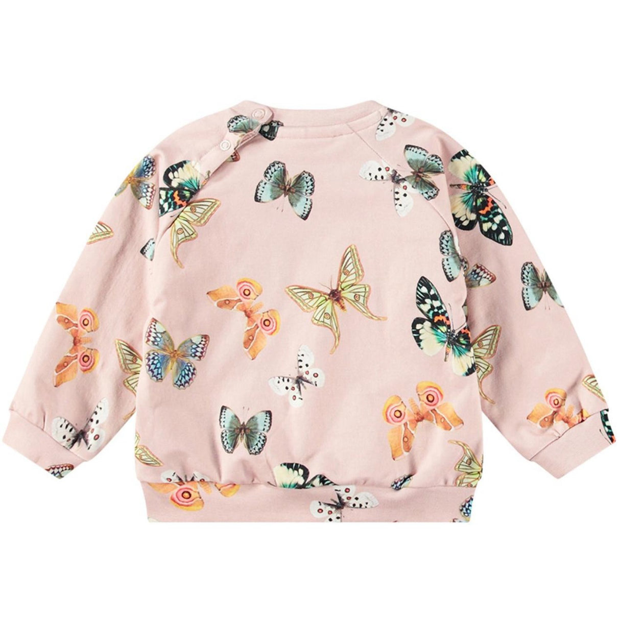 Molo Blush Papillions  Disc Sweatshirt 4