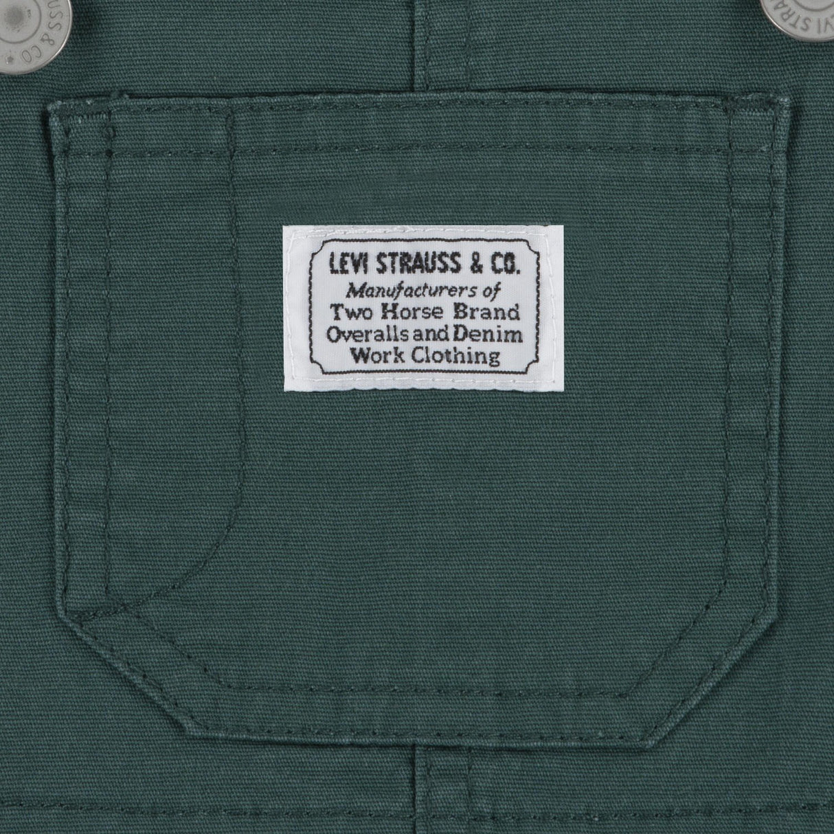 Levi's GREEN Carpenter Överalls