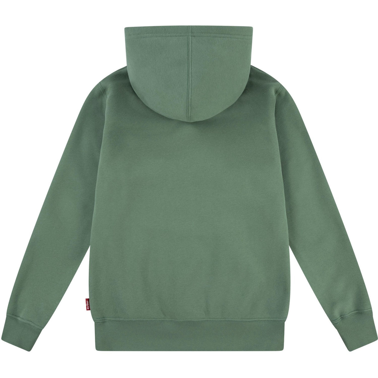 Levi's GREEN Lasso It Up Pullover Hoodie 5