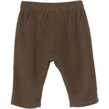 Serendipity Driftwood Byxor